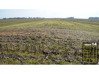 Property photo 76 - Land Auction 1035 Acres In 16 tracts - Farm Land - Sullivan Co. Indiana & Clark Co., Illinois
